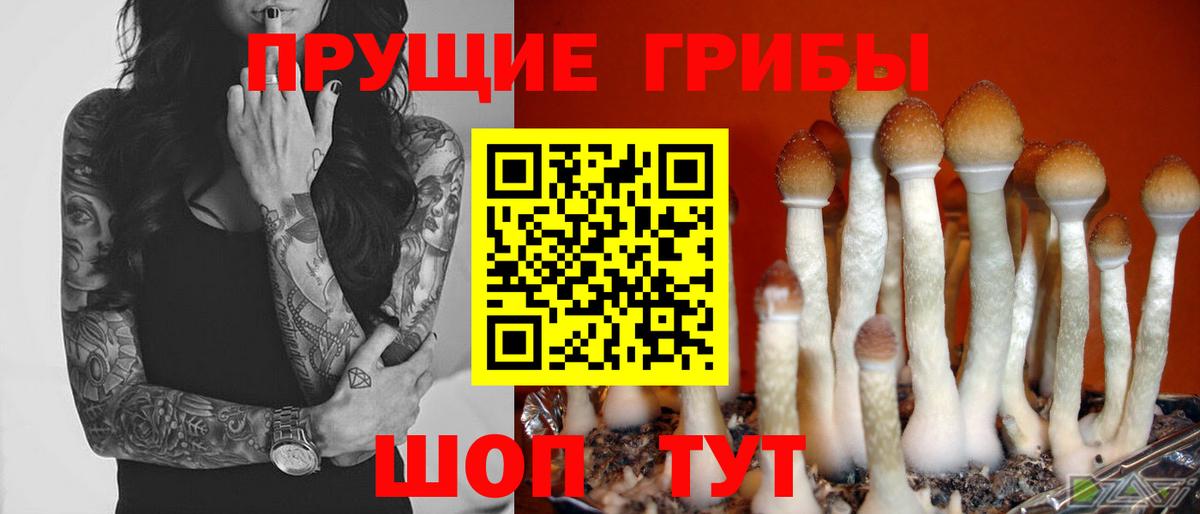 Псилоцибиновые грибы мухоморы Сергиев Посад